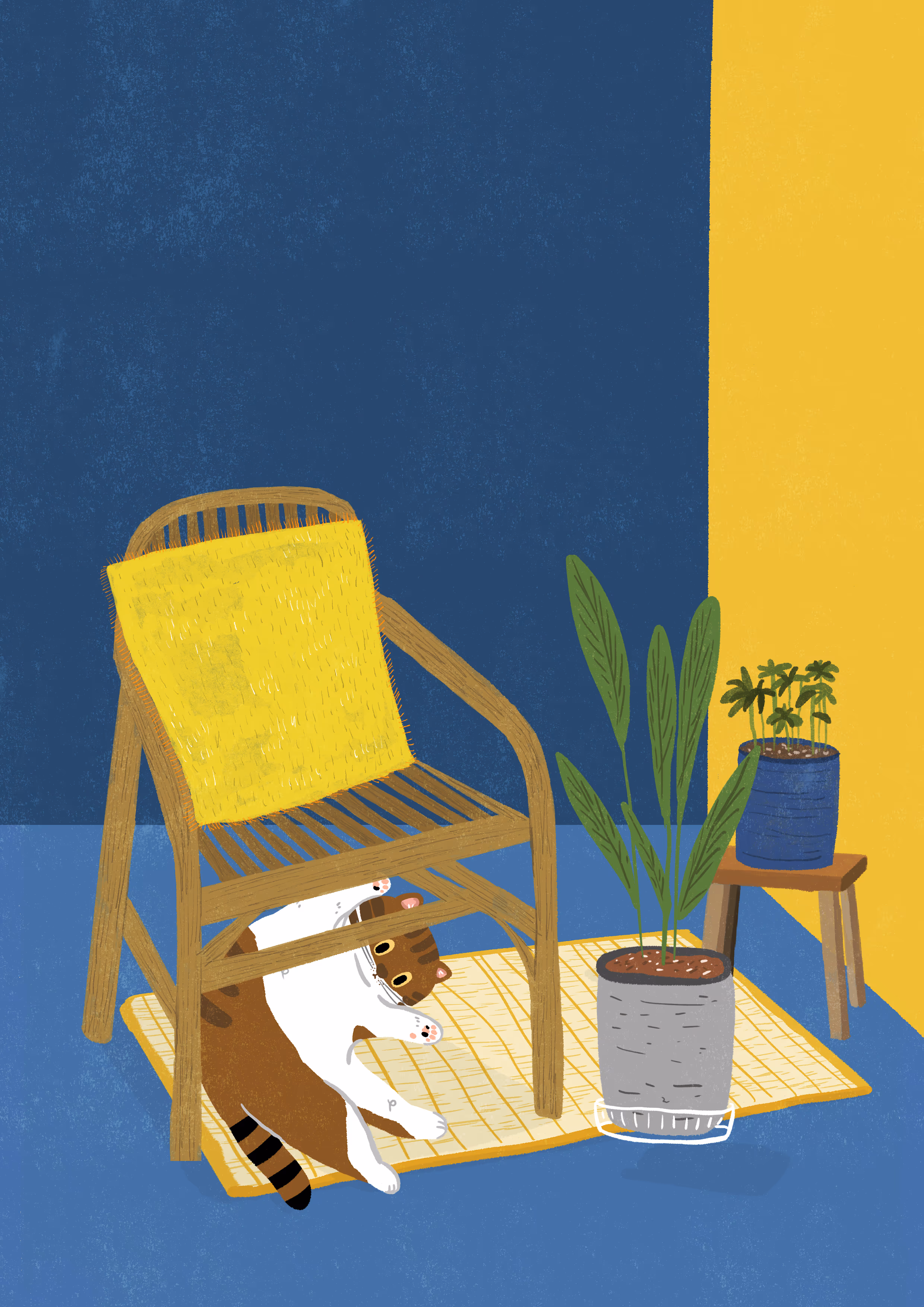 20260101 空間配色