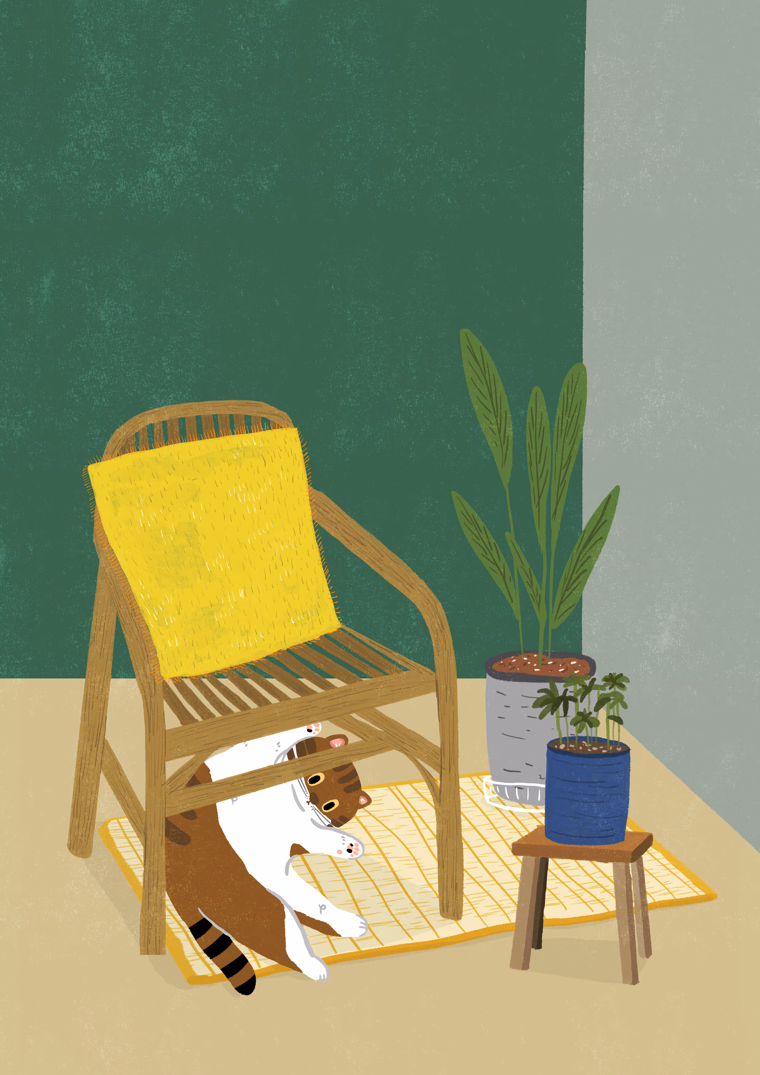 20260103 空間配色