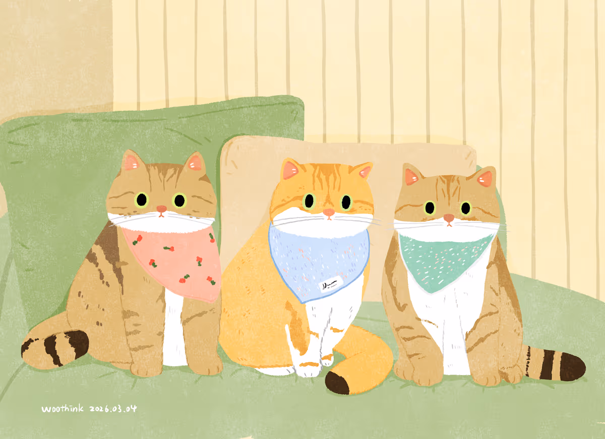 nali_meow